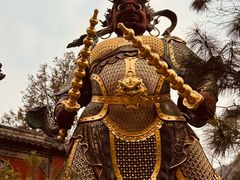 -潇湘甲鱼村(清河店)