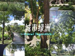 -四海公园(南山区)