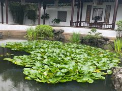 -華僑飯店中餐厅