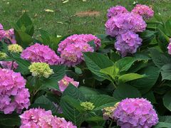 -常州古运河南大街文化旅游区-人民公园