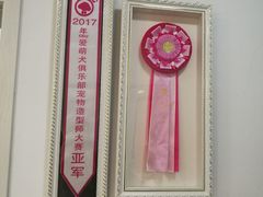 -翊宠yipet猫狗购宠庄园犬舍•猫舍