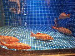 -味钱塘·钱塘渔鲜·地道江浙菜(宋城店)