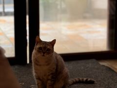 -隅cafe(傅厚岗店)