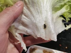 -老卜奎齐齐哈尔烤肉(人民东路店)