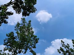 -黄巢水库