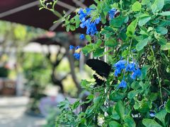 -天然居(伦教店)