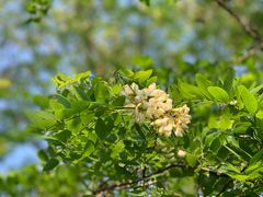 -崂山巨峰游览区