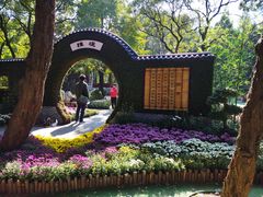 -汇龙潭