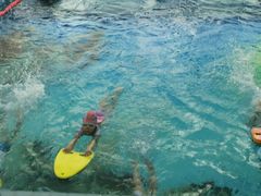 -尼莫亲子游泳NEMOSWIM(西美中心)