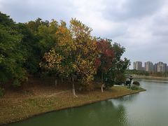 -白塘生态植物园