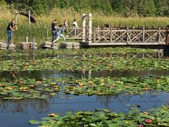 -溱湖国家湿地公园