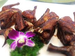红烧乳鸽-顺德佬(石厦店)