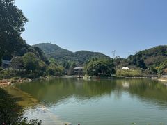 -广州市帽峰山景区