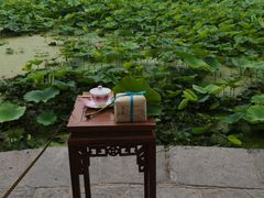 -莲湖公园