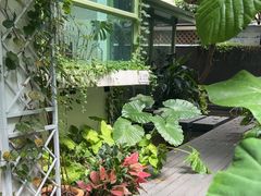 -绿房子方寸咖啡(星海名城店)