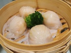 -东方柏宴