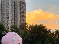 -武汉市青少年宫水上世界