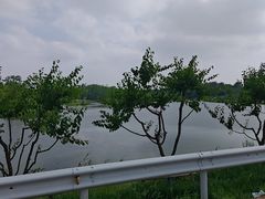 -洪泽湖古堰景区