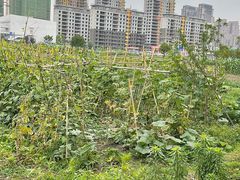 -凤来栖·净庭院·火锅(欧尚店)