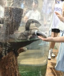 -Zoolung Zoolung动物主题公园(海信广场店)