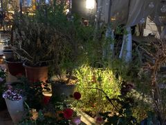 -芝士工厂(万达店)