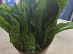 -猪三哥肥肠鸡川菜小炒