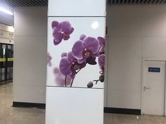 -伊犁路(地铁站)