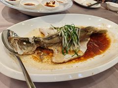 -东方御宴海鲜酒楼(棕泉酒店)