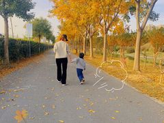 -菊园百果园