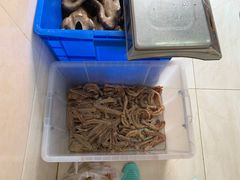 -正宗忘不了老鹅(梅岭店)