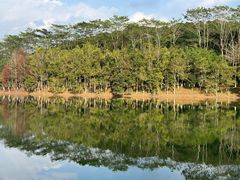 -凤岗南门山森林公园