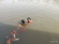 -春晖园度假酒店温泉