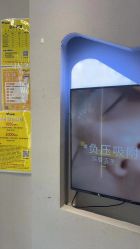 -洗脸猫·洗脸吧