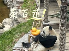 -大连森林动物园