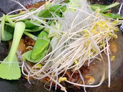 -皖北巫氏三胖地锅鸡(长淮总店)