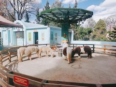 -昆明动物园