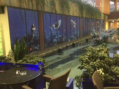 -bluefrog蓝蛙(水游城店)