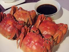 -锦堂中餐厅