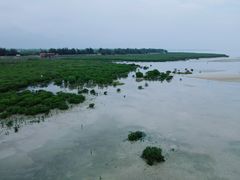 -北海金海湾红树林生态旅游区