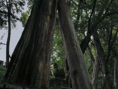 -房湖公园