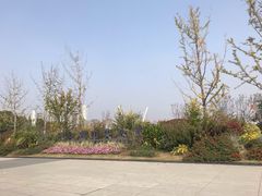-映月湖中央公园