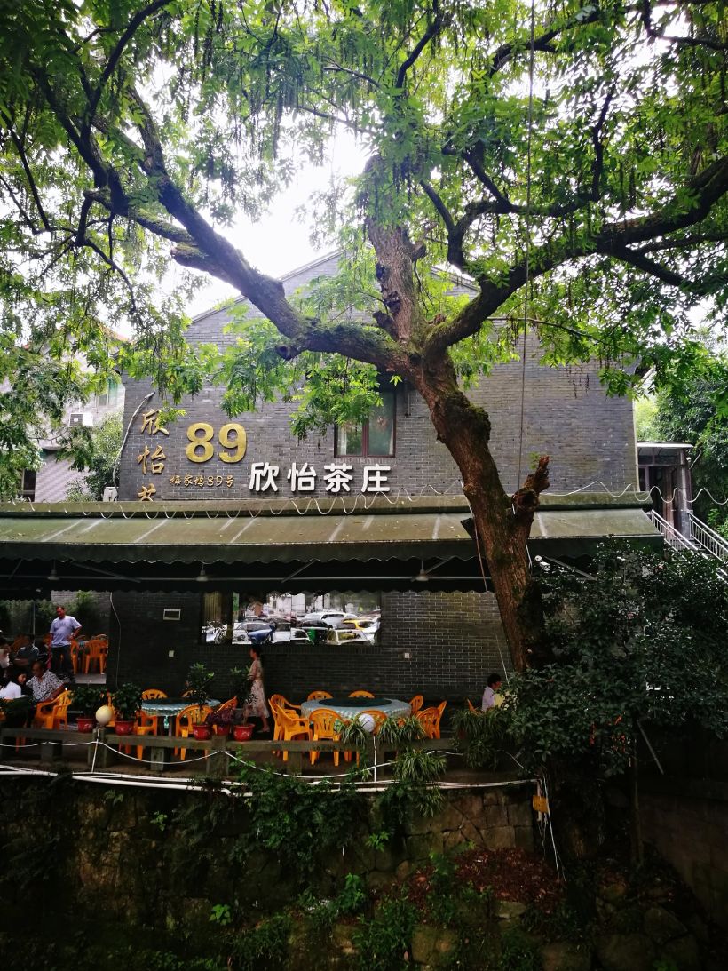 【记50】梅家坞不能错过的茶庄——欣怡茶庄