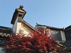 -檀园