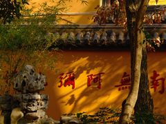 -灵谷景区