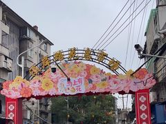 -溪岸路花鸟市场