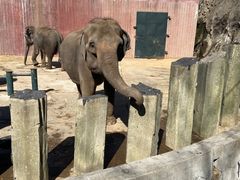 -大连森林动物园