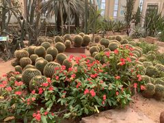 -石家庄市植物园
