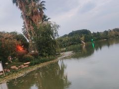 -洛龙公园
