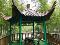 -陶祖圣境风景区