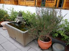 -福州市仓山小学